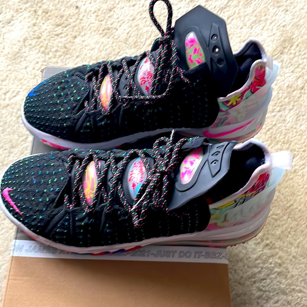 Lebron 18
